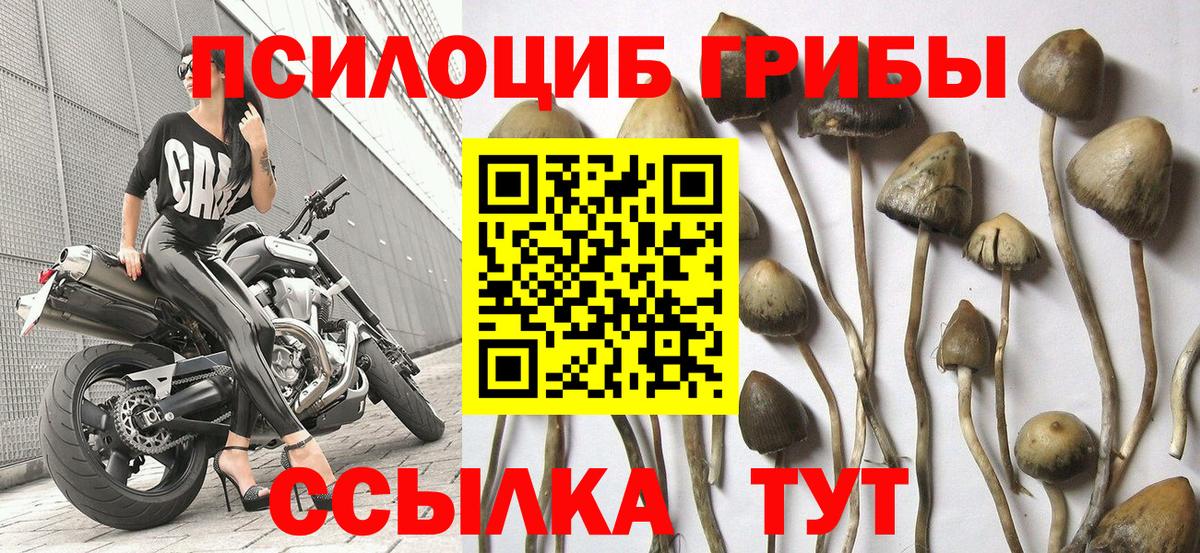 Псилоцибиновые грибы мухоморы  Псилоцибиновые грибы прущие грибы  Уварово  Вход с VPN 
